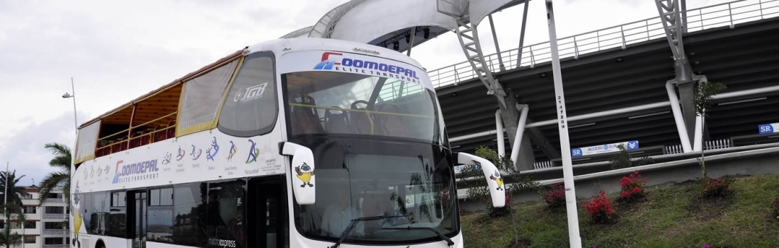 Disfruta del City Tour por todo lo alto