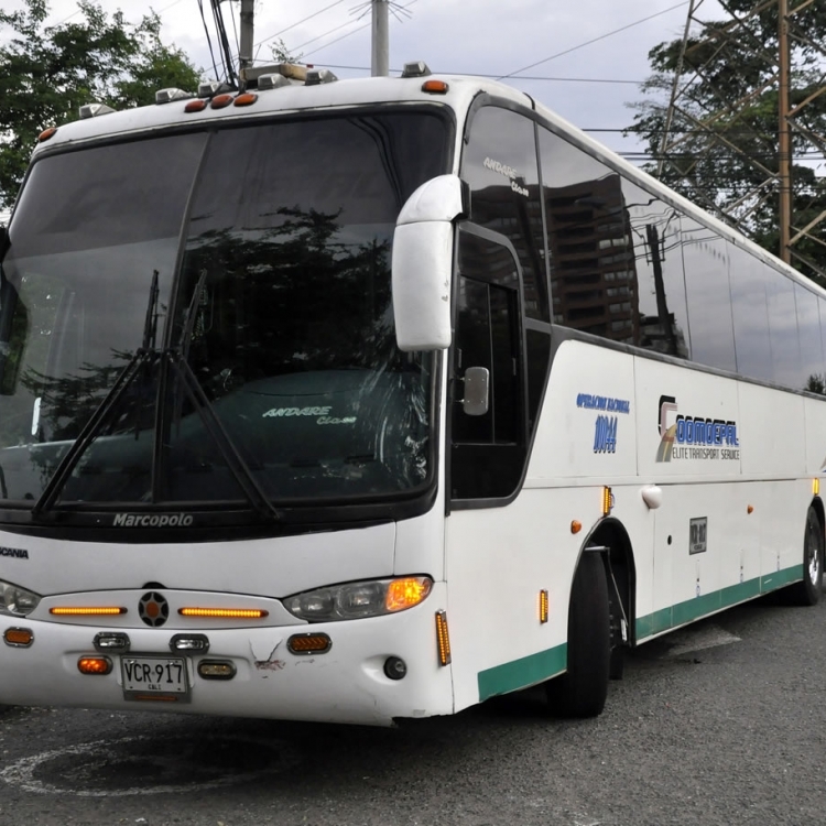 Bus especial y turístico